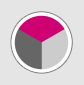 Iron/Fuchsia