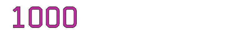1010