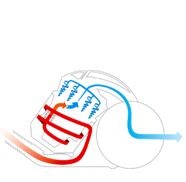 Wychwytuje alergeny, wydmuchuje czystsze powietrze